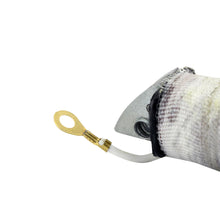 Load image into Gallery viewer, Stator Source Coil