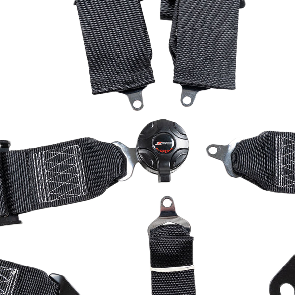 3" 5 Point Cam Lock Harness