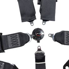 Load image into Gallery viewer, 3" 5 Point Cam Lock Harness