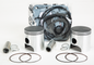 Standard Bore S/M Piston Kit Pol Liberty 440 05 07