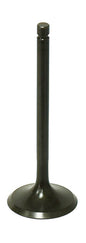 Intake Valve