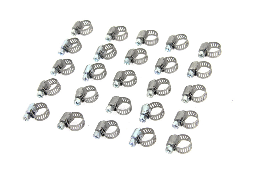 Stainless Steel Worm Clamp with Phillips Screw