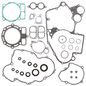 Complete Gasket Set With Oil Seals