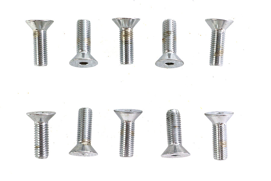 Allen Flat Head Screws Chrome 5/16 inch x 1 inch
