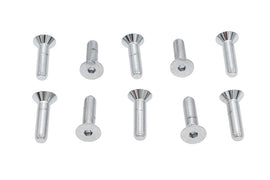 Allen Flat Head Screws Chrome 5/16 inch x 1-1/4 inch