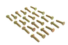 Load image into Gallery viewer, Hex Cap Bolts Zinc 1/4 inch x 1 inch