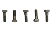 Load image into Gallery viewer, Hex Head Bolts Parkerized