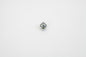 Condenser Mount Screw