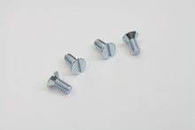 Load image into Gallery viewer, Safety Gap Plate Screw