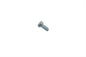 Head Screw