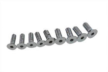 Load image into Gallery viewer, Replacement Mounting Bolts Chrome