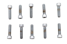 Load image into Gallery viewer, Allen Socket Cap Bolt Knurled Chrome 5/16 inch X 1-1/4 inch