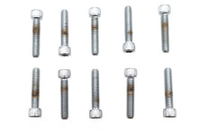 Load image into Gallery viewer, Allen Socket Cap Bolt Knurled Chrome 5/16 inch X 1-1/2 inch