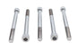Allen Socket Cap Bolt Chrome 5/16 inch x 3-1/2 inch