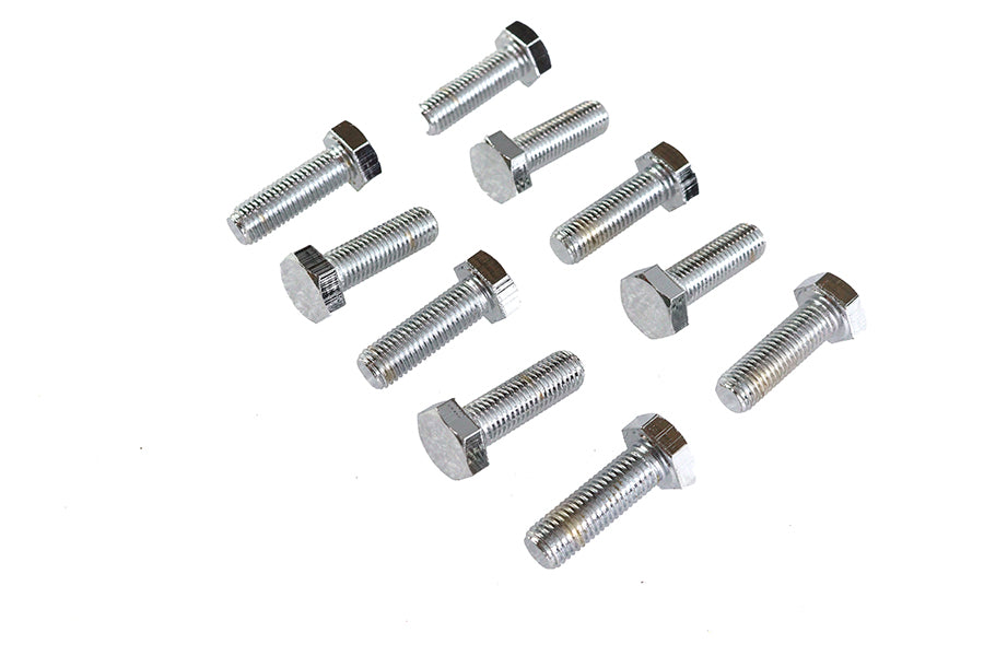 Hex Cap Bolts Chrome 5/16 inch x 1 inch