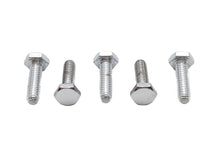 Load image into Gallery viewer, Hex Cap Bolts Chrome 1/4 inch x 7/8 inch