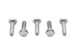 Hex Cap Bolts Chrome 1/4 inch x 7/8 inch
