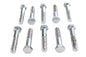 Hex Cap Bolts Chrome 3/8 inch x 2 inch