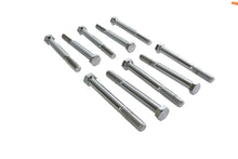 Load image into Gallery viewer, Hex Cap Bolt Chrome 3/8 inch X 3-1/2 inch
