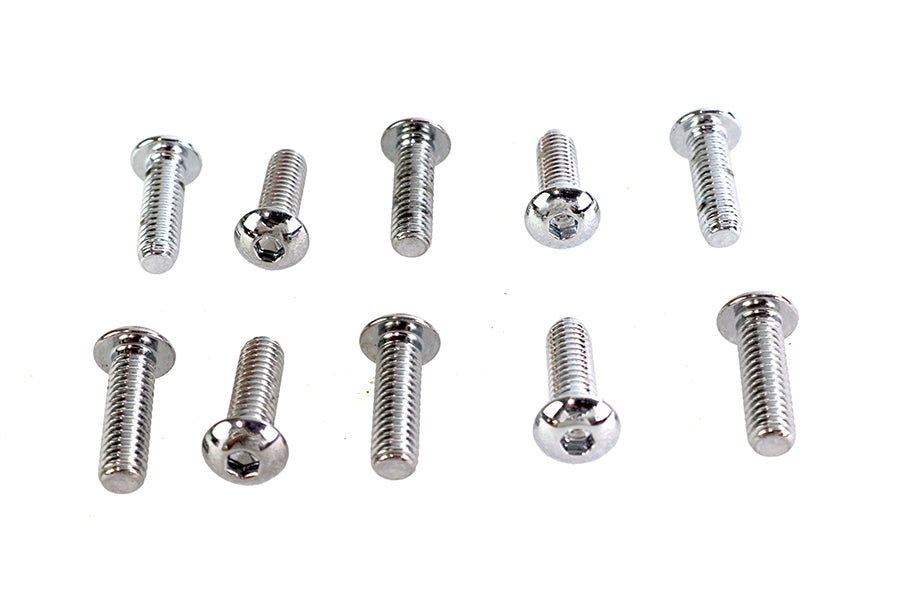 Allen Button Head Screws Chrome 5/16 inch X 1 inch