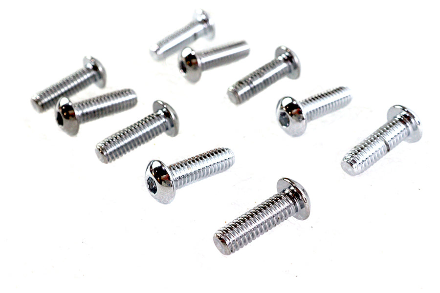 Allen Button Head Screws Chrome 5/16 inch X 1 inch