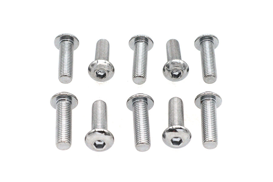 Allen Button Head Screws Chrome 5/16 inch X 1 inch