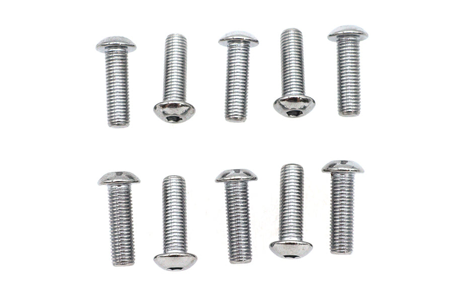 Allen Button Head Screws Chrome 5/16 inch X 1 inch