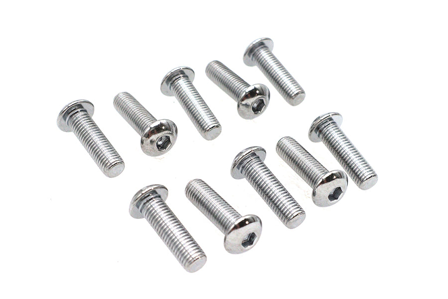 Allen Button Head Screws Chrome 5/16 inch X 1 inch