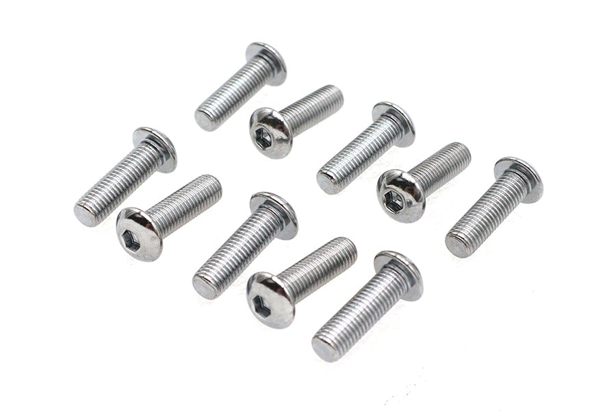 Allen Button Head Screws Chrome 5/16 inch X 1 inch