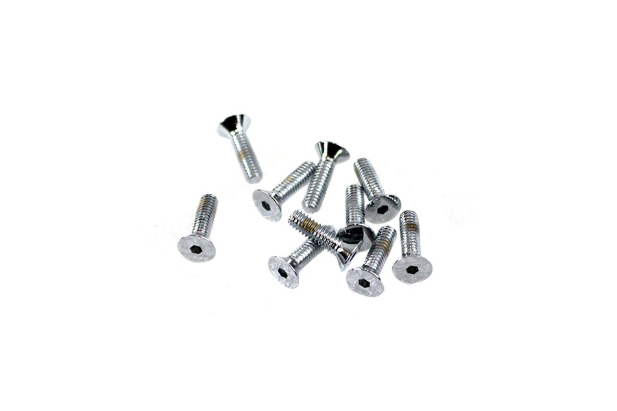 Handlebar Master Cylinder Cover Screw