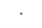 Replica Eccentric Points Screw