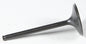 Black Diamond Intake Valve