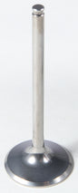 Intake Ti Valve