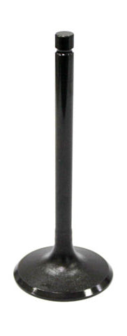 Intake Valve