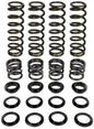 Dual Rate Spring Kit Pol