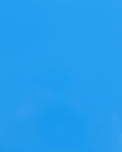 Load image into Gallery viewer, Baja Cage W/V Intrusion Voodoo Blue