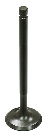 Exhaust Valve