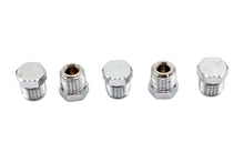 Load image into Gallery viewer, Oil Fitting Plug