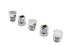 Load image into Gallery viewer, Oil Fitting Plug