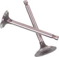 Valve Set Kvf360 Prairie 03 12
