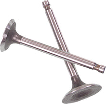 Load image into Gallery viewer, Valve Set Trx300fw '88 00