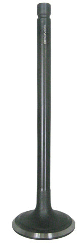 Intake Valve
