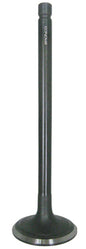 Intake Valve