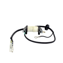 Load image into Gallery viewer, Stator Source Coil