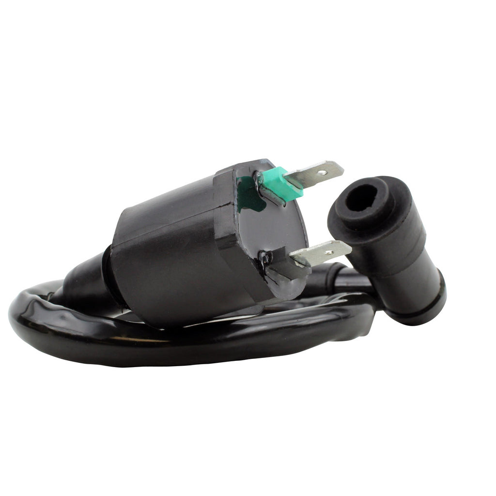 External Ignition Coil W/Spark Plug Cap