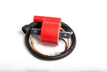 Load image into Gallery viewer, Ignition Coil
