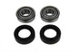 Swingarm Bearing and Seal Kit