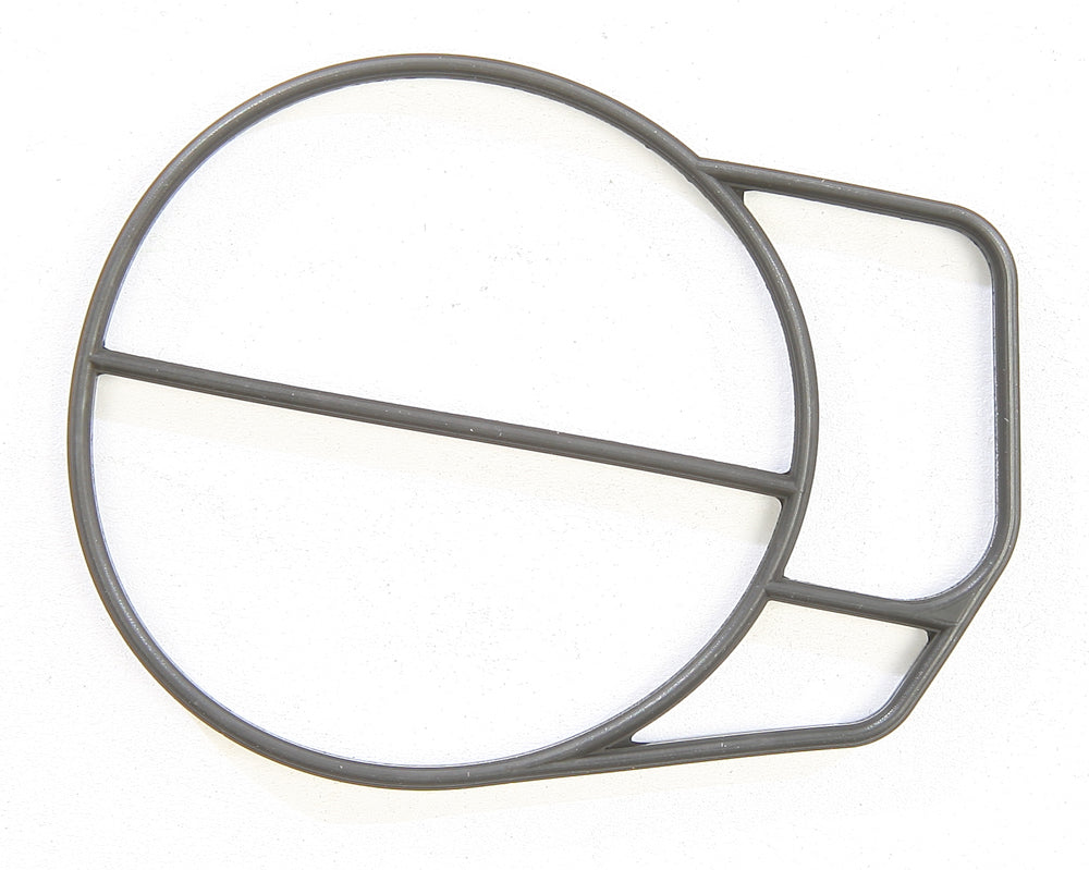 Tappet Oil Screen Spring
