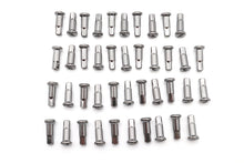 Load image into Gallery viewer, Spoke 40 Piece Chrome Nipple Set