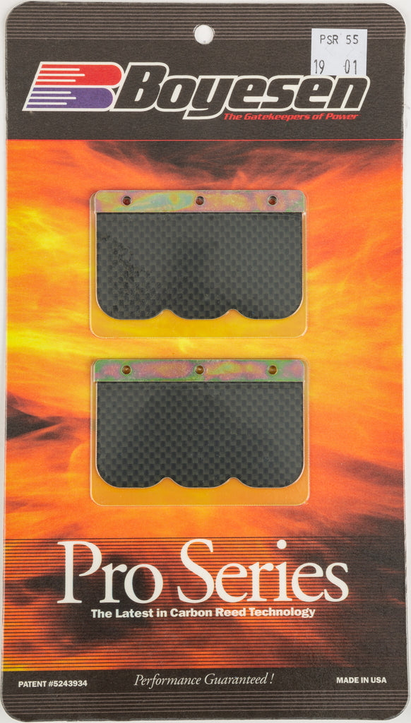 Motorcycle Pro Reeds